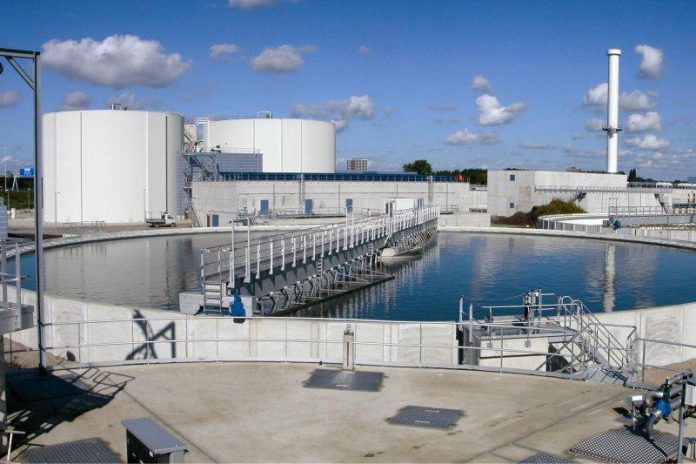 photo_2019-11-20_10-47-00