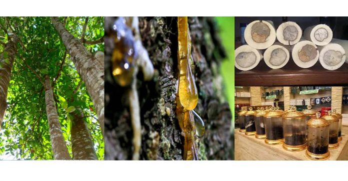 PropertyNews-Investment-Tourism