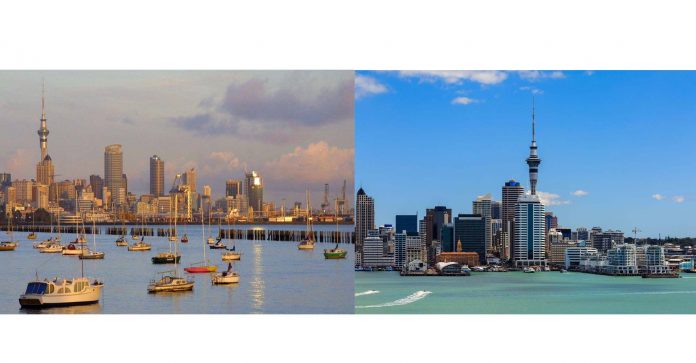 NewZerland-realestate (2)