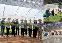 ធនាគារ ADB គាំទ្រគម្រោងហេដ្ឋារចនាសម្ព័ន្ធនៅខេត្តកំពត